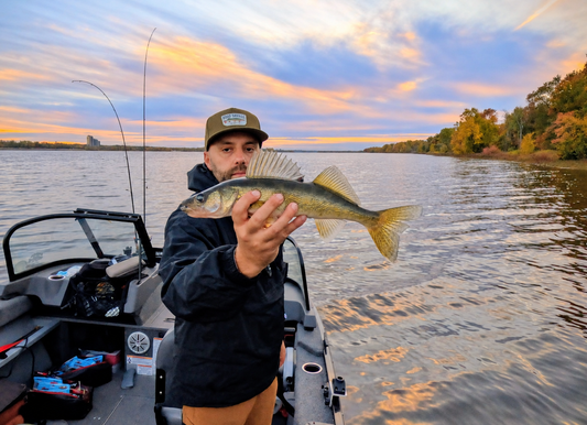 Angler holding a walleye in his boat at sunset, beside a shoreline in fall colours.